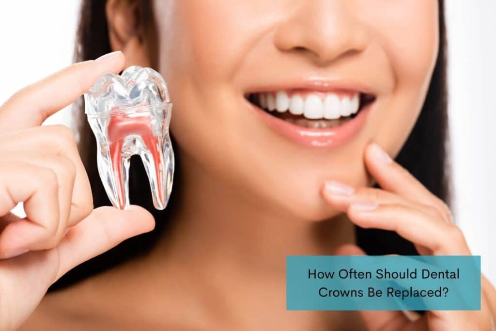 Smiling woman holding a clear dental tooth model